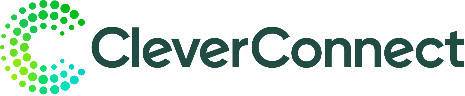CleverConnect Logo